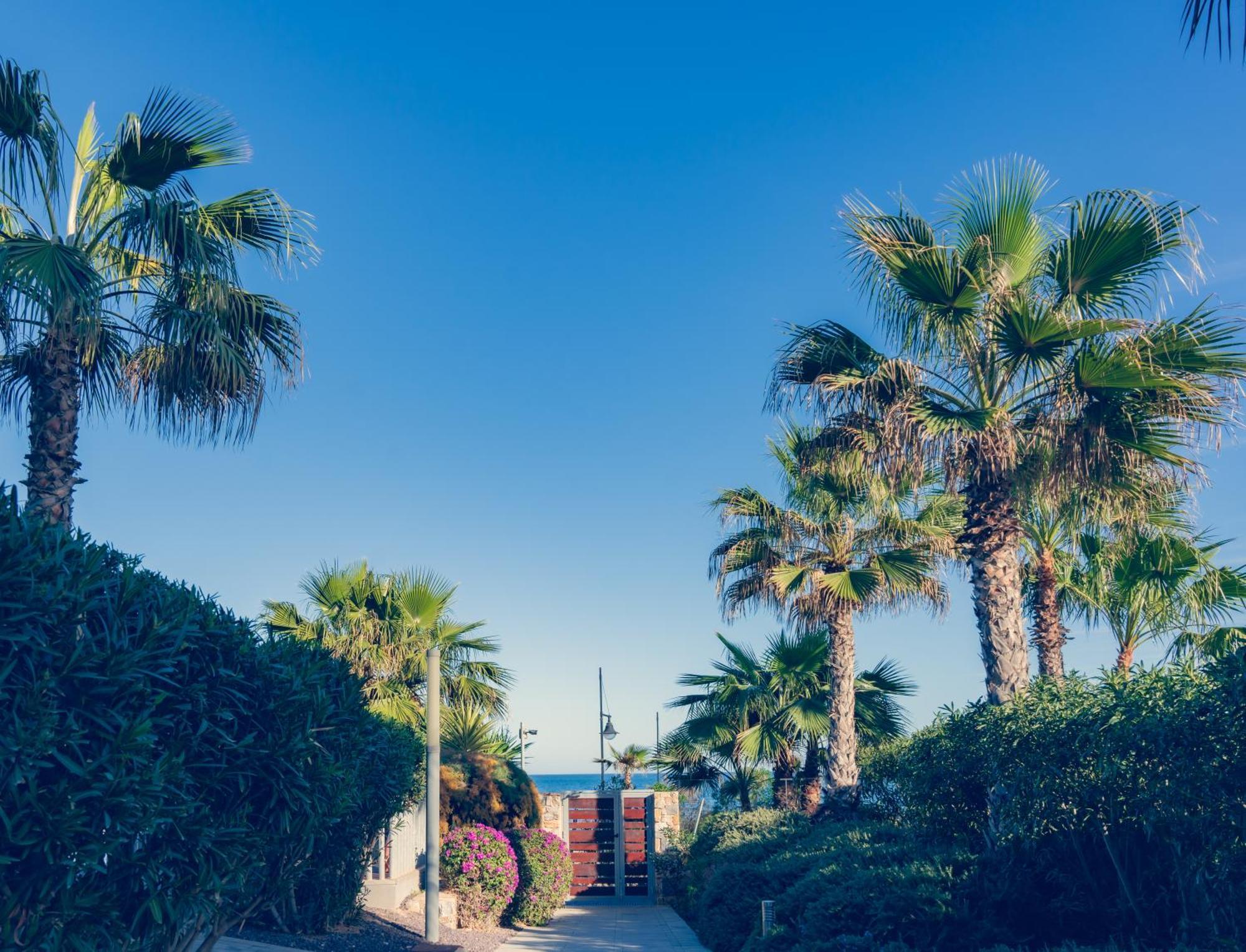 Apartamento Premium Con Jacuzzi Y Vistas Al Mar En Punta Prima, Torrevieja By Rentalole Buitenkant foto